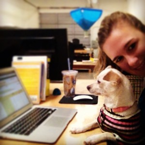 Kaia, our adopted puppy dog, assisting my at my desk here at Tag UR It! inc.!
